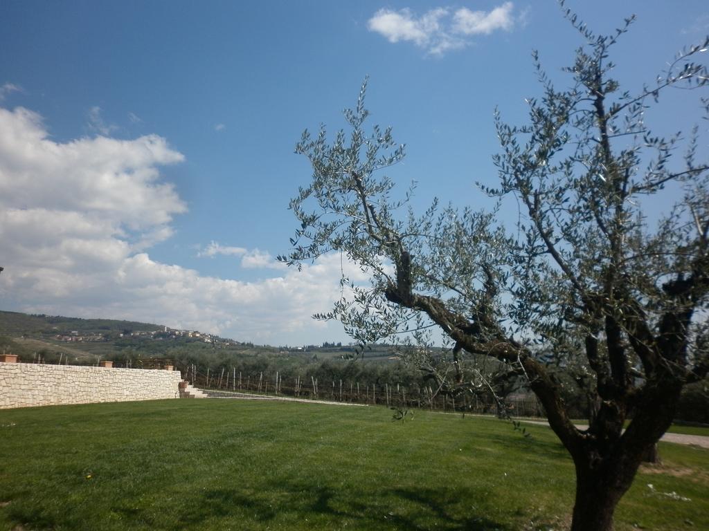 La Piccola Mimosa Apartment Sant'Ambrogio di Valpolicella Luaran gambar