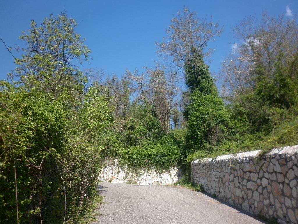 La Piccola Mimosa Apartment Sant'Ambrogio di Valpolicella Luaran gambar